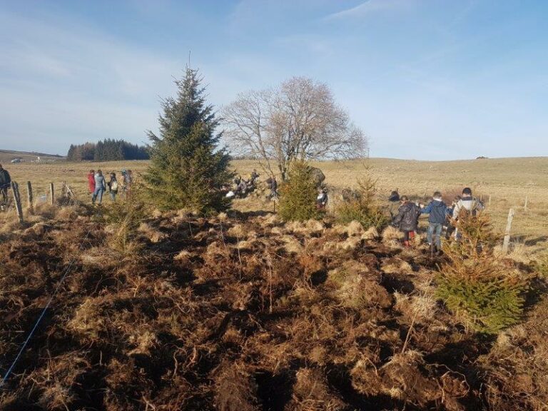 Aubrac, des haies sur un plateau …